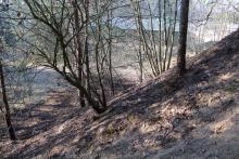 Pożar pokrywy gleby na terenie Leśnictwa Wądołek