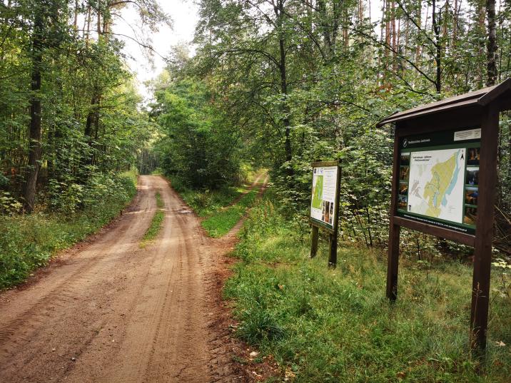 Skrzyżowanie&#x20;trasy&#x20;niebieskiej&#x20;i&#x20;zielonej