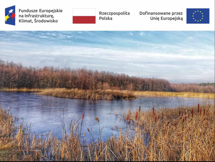 Zbiornik&#x20;retencyjny&#x20;na&#x20;obszarze&#x20;RDLP&#x20;Łódź