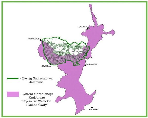 Nadleśnictwo Jastrowie na tle obszaru chronionego krajobrazu "Pojezierze Wałeckie i Dolina Gwdy"