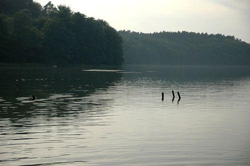 Jezioro Trzebieszki. Fot. K.Dymek