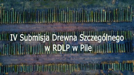 IV Submisja Drewna Szczególnego w RDLP w Pile